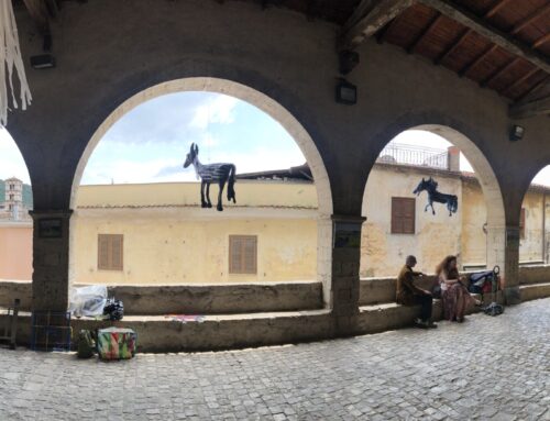 MANDRIA IN VOLO AL MAGGIO SERMONETANO