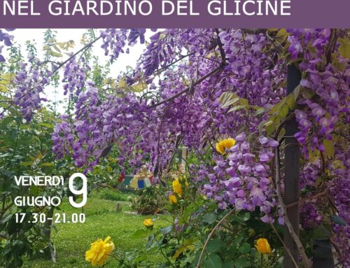 Passeggiando tra i colori