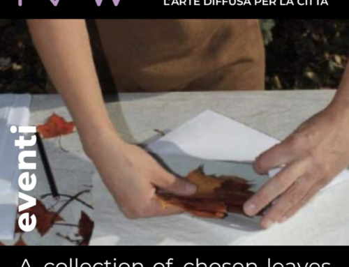 A Collection of chosen leaves